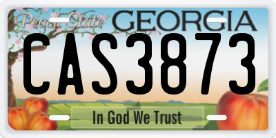 GA license plate CAS3873