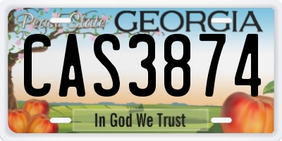 GA license plate CAS3874