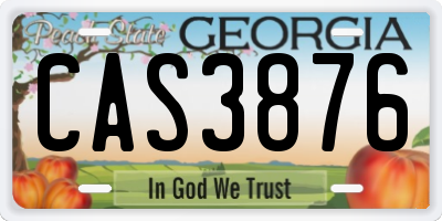 GA license plate CAS3876