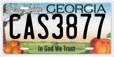 GA license plate CAS3877