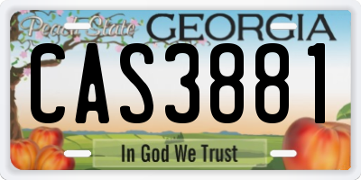 GA license plate CAS3881