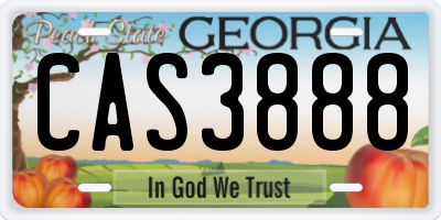 GA license plate CAS3888