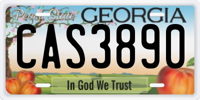 GA license plate CAS3890