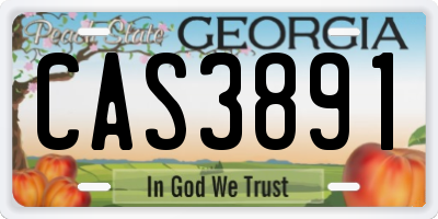 GA license plate CAS3891