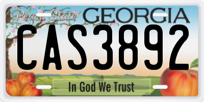 GA license plate CAS3892