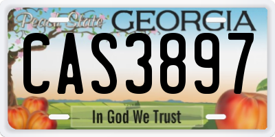 GA license plate CAS3897