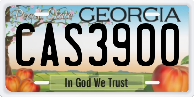 GA license plate CAS3900