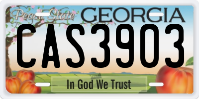 GA license plate CAS3903