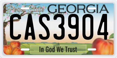 GA license plate CAS3904