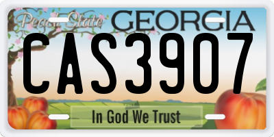 GA license plate CAS3907