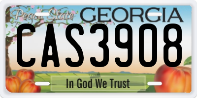 GA license plate CAS3908