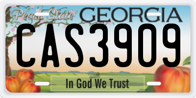 GA license plate CAS3909