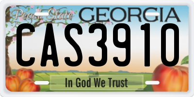 GA license plate CAS3910