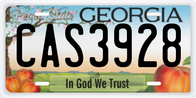 GA license plate CAS3928