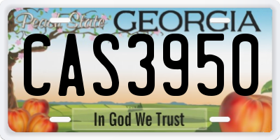 GA license plate CAS3950