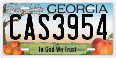 GA license plate CAS3954