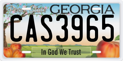 GA license plate CAS3965