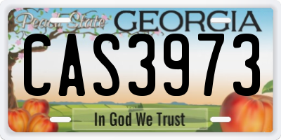 GA license plate CAS3973