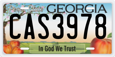 GA license plate CAS3978