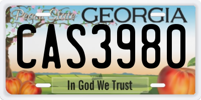 GA license plate CAS3980