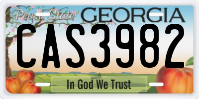 GA license plate CAS3982