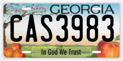 GA license plate CAS3983