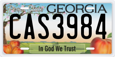 GA license plate CAS3984