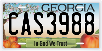 GA license plate CAS3988