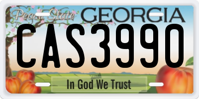 GA license plate CAS3990