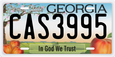 GA license plate CAS3995