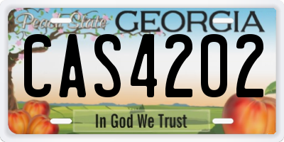 GA license plate CAS4202