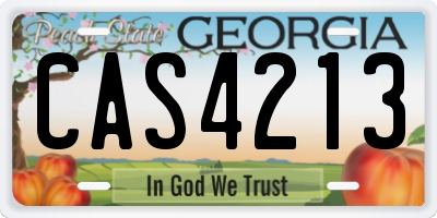 GA license plate CAS4213
