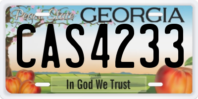 GA license plate CAS4233