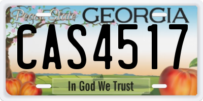 GA license plate CAS4517