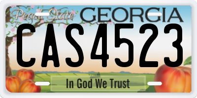 GA license plate CAS4523