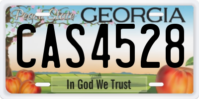 GA license plate CAS4528