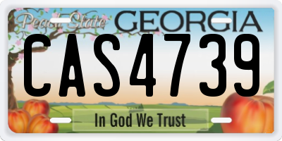 GA license plate CAS4739