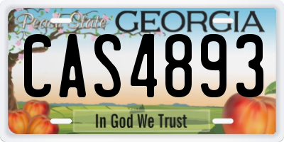 GA license plate CAS4893