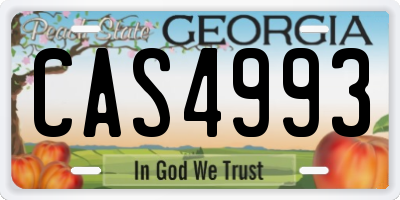 GA license plate CAS4993