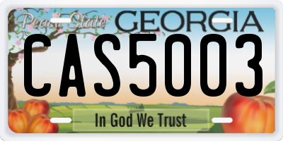 GA license plate CAS5003