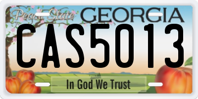 GA license plate CAS5013