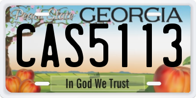 GA license plate CAS5113