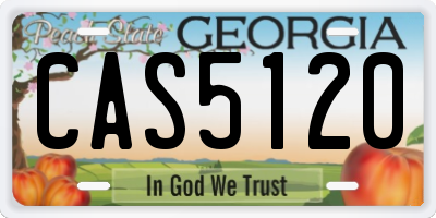 GA license plate CAS5120