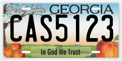 GA license plate CAS5123