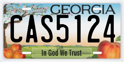 GA license plate CAS5124