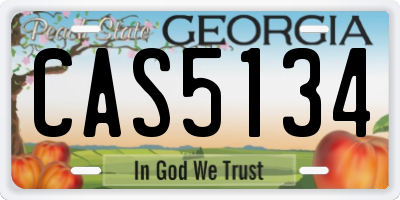 GA license plate CAS5134