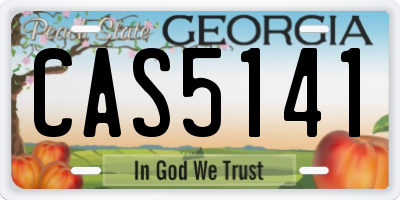 GA license plate CAS5141
