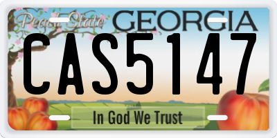 GA license plate CAS5147