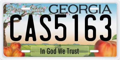 GA license plate CAS5163