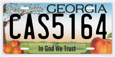 GA license plate CAS5164